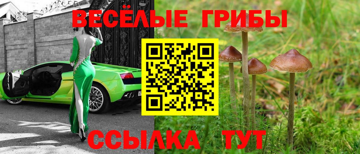 Галлюциногенные грибы ЛСД Сердобск