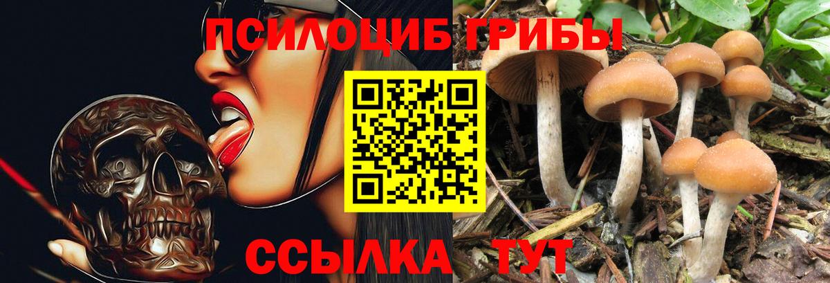Галлюциногенные грибы MAGIC MUSHROOMS  Вход с VPN  Сердобск 